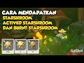 Cara Mendapatkan Starshroom Actived Starshroom dan Burnt Starshroom Genshin Impact