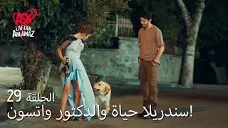 الحب لا يفهم الكلام الحلقة 29 سندريلا حياة والدكتور واتسون 