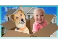 MOVING DAY Look Who s Vlogging Daily Bumps