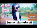 Download Lagu Tresno Tulus Teko Ati Dj Full Beat - Eva Erlian Sari [Official Music Video]