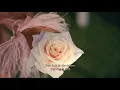 [lyrics] 인생이 힘들고 어려울 때, Kali Uchis - After The Storm (feat. Tyler, The Creator, Bootsy Collins) 가사해석
