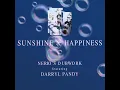 Nerio's Dubwork Sunshine e Happiness (Alex Hi-Fi extended)