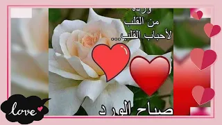 صباح الخير والسعادة  صباح الخير والسعادة