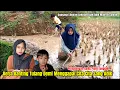 Download Lagu TANGGUH❗PETUALANGAN GADIS PIATU TANGGUH KERJA BANTING TULANG DEMI KEBAHAGIAAN ADIK DAN KELUARGA