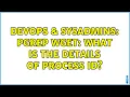 DevOps SysAdmins pgrep wget what is the details of process id 2 Solutions