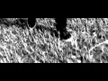 Download Lagu DJ Baryonyx - Reborn (Ft.Shaun) (Official Video) HD