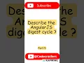 Part 5 Describe the AngularJS digest cycle