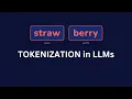 Quick intro to Tokenization in LLMs