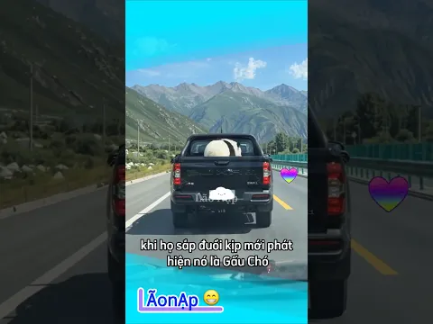 Rồi nó là cái giống gì 😅 #laonap