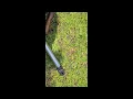 Topens AT6 actuator disassembly