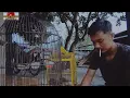 Download Lagu Dj Minang Saba Dalam Panantian, Siang jo malam seso di mabuak angan,full bass cover makdok