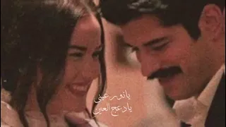 يانور عيني يا ادعج العين 