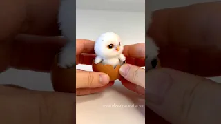 Cute OWL in EGG