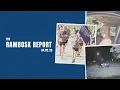 Naples Mom Arrested Wanted Man Arrested Special Olympics Torch Run