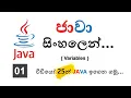 Variables - Java Sinhala Tutorials
