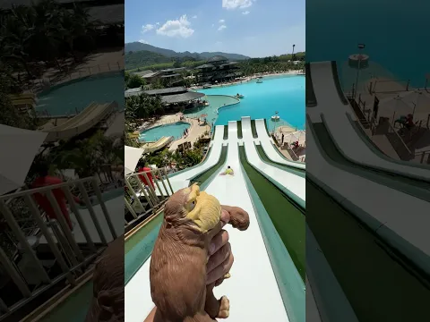 Squishy monkey on the water slide🤣