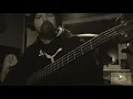Child of babylon Whitesnake cover