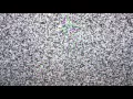 Perlin Noise Flow Field Coding Challenge 1