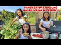 Download Lagu PANEN SAWI \u0026 DAUN BAWANG LANGSUNG MASAK INDOMIE DI KEBUN