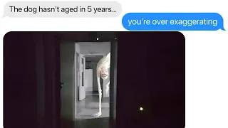 We Adopted The Wrong Dog Anxious Dog 