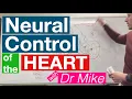Neural Control of the Heart Cardiology