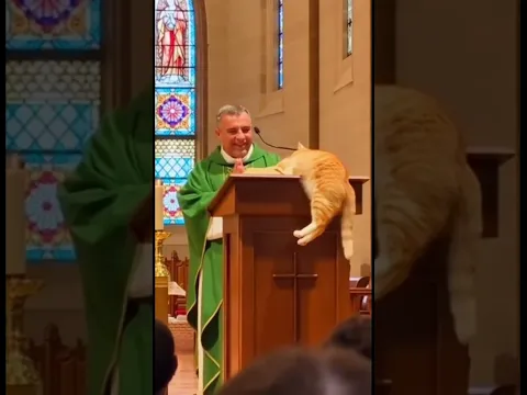 Karma Cat 🐱 Joins Church Sermon Unexpectedly #karma #churchcat #shorts