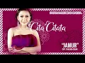 Download Lagu Cita Citata - Jamur