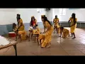 Download Lagu Obori bwa baba @ Alliance Boys High School Kenya Music Festivals competition