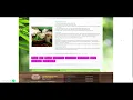 Massage Organic Spa Nail salon in Chicago IL 60613