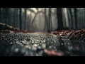 Download Lagu Jacob's Prayer x Jacob and the Stone // rain // 1 hour