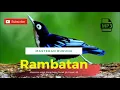 Download Lagu Burung Rambatan Loreng  | variasi suara untuk masteran burung saat lomba