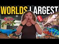 INSIDE the WORLD S LARGEST Reptile Expo and We Brought Something Home Daytona Reptile Breeder Expo