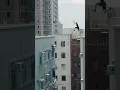 Download Lagu How to move from one building to another 🔥 #parkour #shorts #jumping