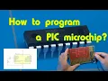 How to program a PIC microchip?