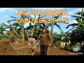Download Lagu SALAH MONGSO//LAGU KOES PLUS