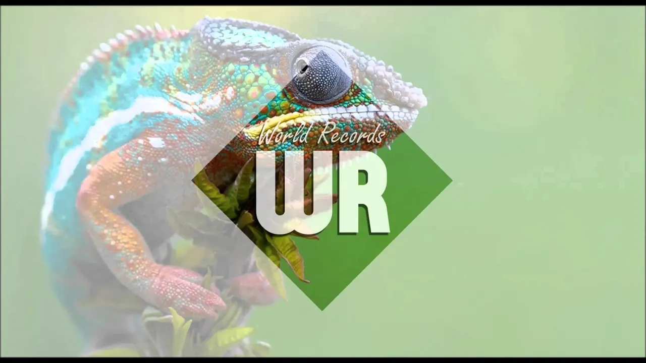 Sanchez - Bring Back The Love (1992)