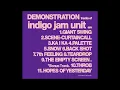 Indigo Jam Unit: Demonstration - Teardrop