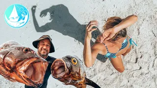 Dance off in PARADISE & FISH for Dinner | Episode 249 (Sailing Catalpa)