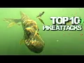 TOP 10 Underwater Pike Attacks Best fishing actions of 2024 in 4K quality Underwater World