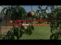 Cochren & Co ~ One Day Karaoke