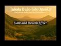 Download Lagu Tabola Bale - ( Slow and Reverb Effect)🤙🎧