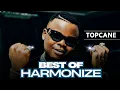 Download Lagu BEST OF HARMONIZE MIX 2025 | WANGU, Bye Bye MAZOEA ,TENA, WOTE AMELOWA, UJANA,USEMI SINA ,TEACHER,