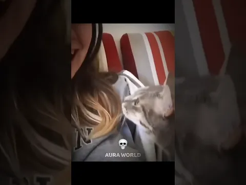 Cats can't imitate owner ☠️