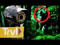 Lagu Face to Face With Bigfoot | Paranormal Caught on Camera | Travel Channel