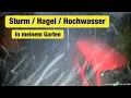 Download Lagu Sturm mit Hagel und Starkregen wütet durch meinen Garten