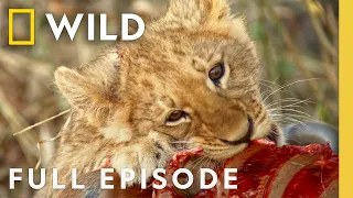 Moving Targets (Full Episode) | Africa's Deadliest: Botswana | Nat Geo Animals