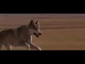 Lagu trilha sonora dança com lobo