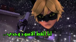 ميراكولوس الدعسوقة والقط الاسود اغنية انا القط الاسود وحدي 