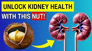 Macadamia Nuts and Kidney Health 7 Science-Backed Benefits You Should Know