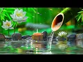 Relaxing Piano Music – Deep Sleeping, Meditation Healing and Calming Water Sounds for Peaceful Mind
